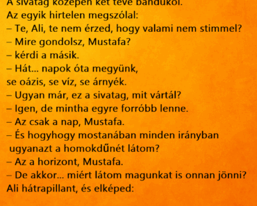 A sivatag közepén két teve bandukol. A sivatag közepén két teve bandukol.
