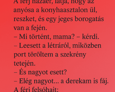 A férj hazaér, látja, hogy az anyósa a konyhaasztalon ül, reszket, és egy jeges borogatás van a fején. A férj hazaér, látja, hogy az anyósa a konyhaasztalon ül, reszket, és egy jeges borogatás van a fején.