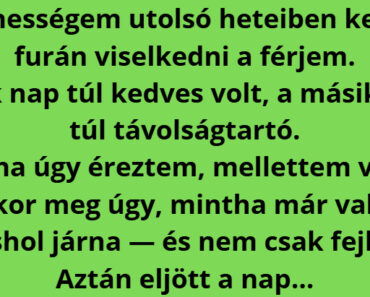Aznap jöttem rá, hogy az egész házasságom hazugság volt… de a testvérem olyat tett, amit soha nem felejtek el. Aznap jöttem rá, hogy az egész házasságom hazugság volt… de a testvérem olyat tett, amit soha nem felejtek el.