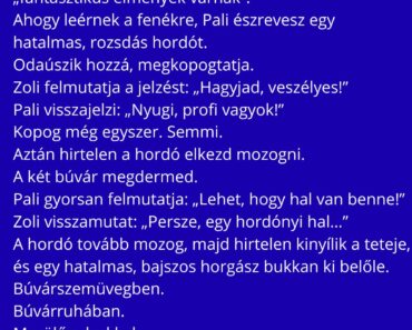 Két hobbi-búvár – Pali és Zoli – elhatározza, hogy kipróbálják az új tanfolyamukon tanultakat, és lemerülnek