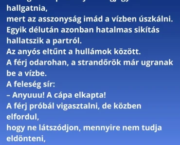 A család nyaral a tengerparton: férj, feleség és a rettegett anyós.