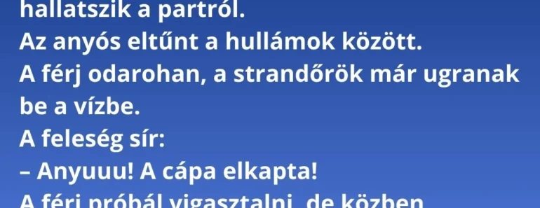 A család nyaral a tengerparton: férj, feleség és a rettegett anyós.