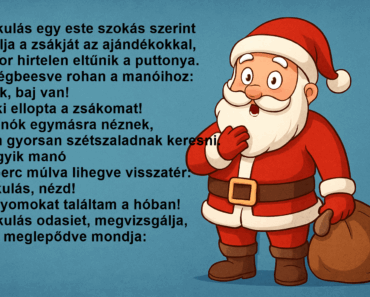 A Mikulás egy este szokás szerint pakolja a zsákját az ajándékokkal, amikor hirtelen eltűnik a puttonya.