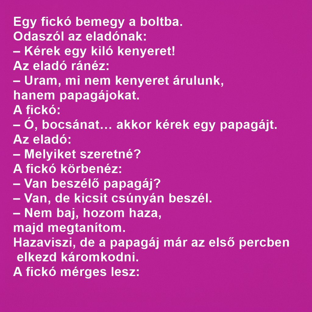 Egy fickó bemegy a boltba.