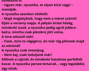 A nyuszika elhatározza, hogy sportos életet kezd, és benevez a sivatagi futóversenyre az állatok között.