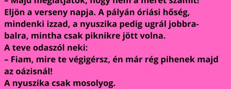 A nyuszika elhatározza, hogy sportos életet kezd, és benevez a sivatagi futóversenyre az állatok között.