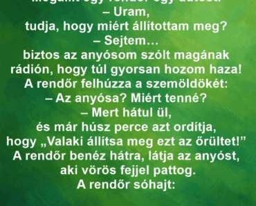 Megállít egy rendőr egy autóst.