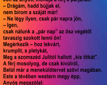 Jön az anyós, mondja a férj a párjának: Jön az anyós, mondja a férj a párjának: