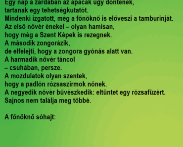 Egy nap a zárdában az apácák úgy döntenek, tartanak egy tehetségkutatót.