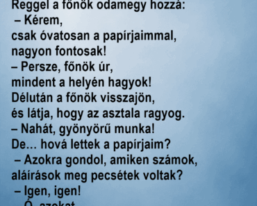 🧹 A takarítónő és a főnök