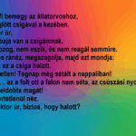 Egy férfi bemegy az állatorvoshoz, egy döglött csigával a kezében. uju