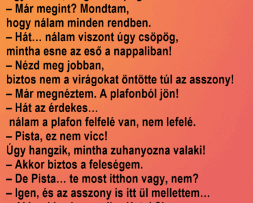 A szomszéd telefonál: A szomszéd telefonál: