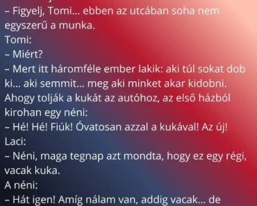 A KUKÁSOK ÉS A PROBLÉMÁS UTCASZAKASZ A KUKÁSOK ÉS A PROBLÉMÁS UTCASZAKASZ