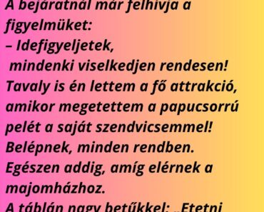 Egy napon Józsi elhatározza, hogy elviszi a családot az állatkertbe. Egy napon Józsi elhatározza, hogy elviszi a családot az állatkertbe.