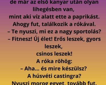 Egy napon a nyuszi elhatározza, hogy sportos életet kezd. Egy napon a nyuszi elhatározza, hogy sportos életet kezd.