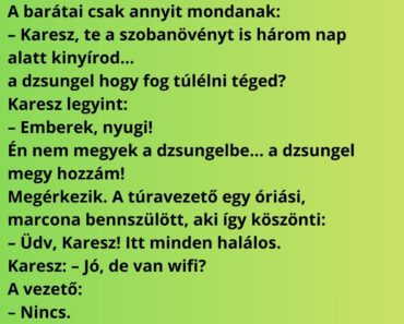 Karesz elhatározza, hogy kemény férfi lesz, és benevez egy dzsungeltúrára. Karesz elhatározza, hogy kemény férfi lesz, és benevez egy dzsungeltúrára.