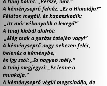 A kéményseprő új házhoz érkezik, de már a létra láttán elsápad.
