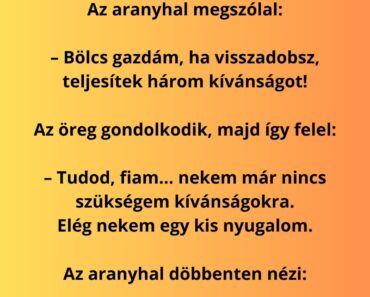 Egy idős férfi sétál a folyóparton, amikor kifog egy aranyhalat.