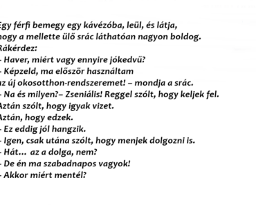Egy férfi bemegy egy kávézóba, leül, és látja, hogy a mellette ülő srác láthatóan nagyon boldog.