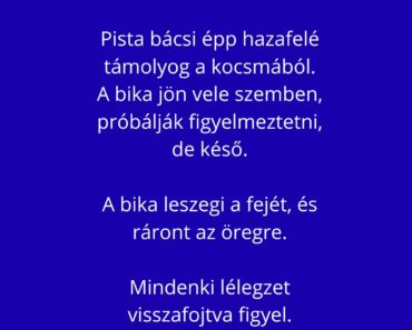 Elszabadul a faluban egy bika.