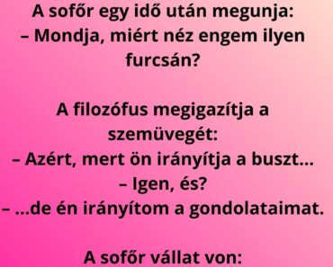 Egy filozófus felszáll a buszra, leül, és elkezdi méregetni a sofőrt a visszapillantó tükörben.