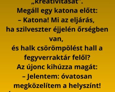 Kiképzésen az őrmester körbejár, és próbálja felmérni az újoncok „kreativitását”.