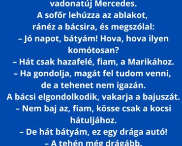 Székely bácsi ballag hazafelé a faluba, maga mögött húzza a tehenet kötélen.