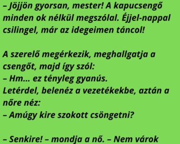 VICC: Egy nő felhívja a villanyszerelőt: