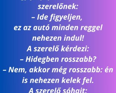 Egy férfi panaszkodik a szerelőnek: