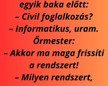 Őrmester megáll az egyik baka előtt: