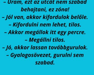 A rendőr leinti az autóst az út szélén