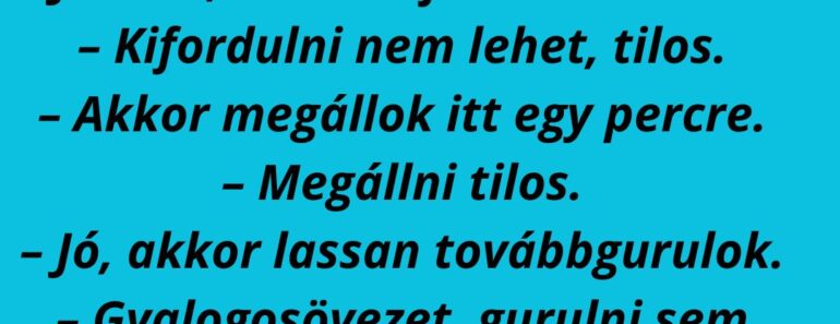 A rendőr leinti az autóst az út szélén