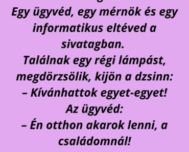 Ügyvéd, mérnök, informatikus a sivatagban