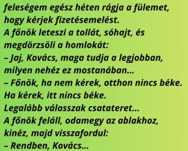 A beosztott félénken bekopog a főnök irodájába
