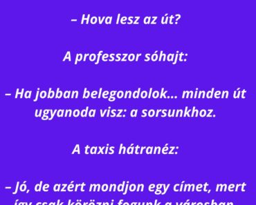 Egy filozófia professzor beül egy taxiba.
