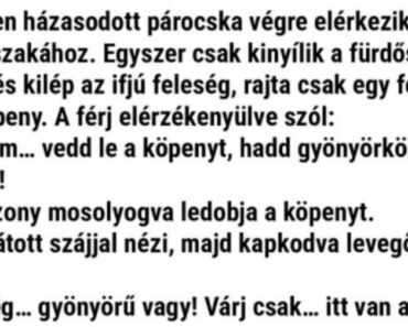 Vicc:A frissen házasodott párocska végre elérkezik a nászéjszakához