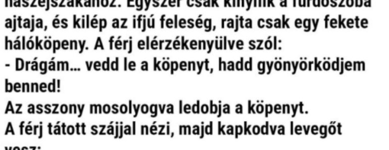 Vicc:A frissen házasodott párocska végre elérkezik a nászéjszakához