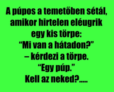 VICC: A púpos meg a sánta