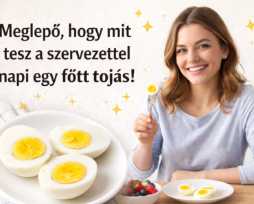 Meglepő , hogy mit tesz a szervezettel napi egy főtt tojás!