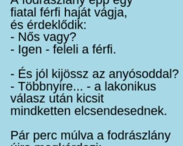 VICC: A kíváncsi fodrászlány