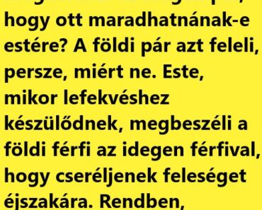 VICC: Egy családi ház kertjében leszáll egy űrhajó