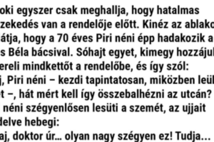 A doki egyszer csak meghallja, hogy hatalmas veszekedés van a rendelője előtt.