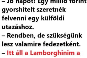 VICC: Egy elegáns üzletasszony bemegy egy bankba