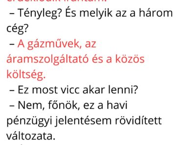 Főnök, szeretnék fizetésemelést kérni, mert három nagy cég is érdeklődik irántam.