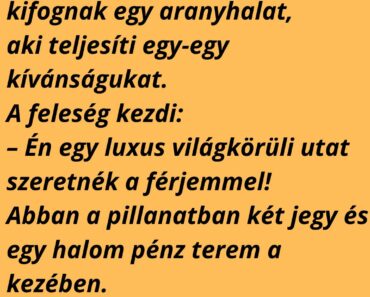 A házaspár és az aranyhal