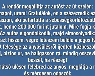 A rendőr megállítja az autóst az út szélén: