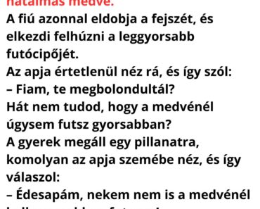 A székely és a fia az erdőben fát vágnak, amikor egyszer csak megjelenik egy hatalmas medve.