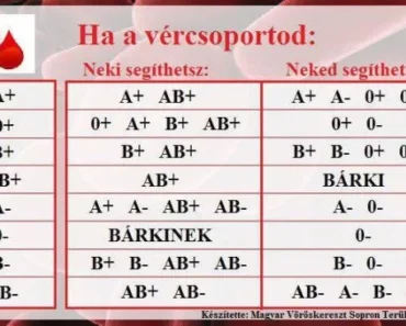 Kiderült a vércsoport titok! Mutatjuk, melyik vércsoport védettebb a rák, a demencia vagy a trombózis ellen!