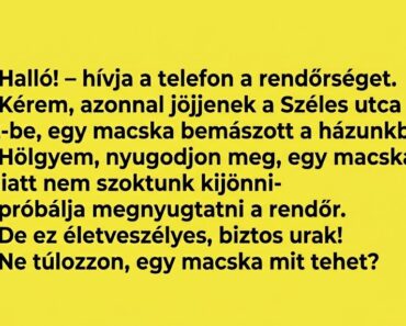 – Halló! – hívja a telefon a rendőrséget. – Halló! – hívja a telefon a rendőrséget.