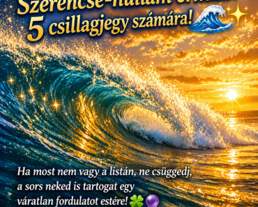 Szerencse-hullám érkezik 5 csillagjegy számára! 🌊✨ Ha most nem vagy a listán, ne csüggedj, a sors neked is tartogat egy váratlan fordulatot estére! 🍀🔮 Szerencse-hullám érkezik 5 csillagjegy számára! 🌊✨ Ha most nem vagy a listán, ne csüggedj, a sors neked is tartogat egy váratlan fordulatot estére! 🍀🔮